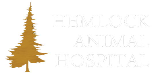 hemlock animal hospital logo